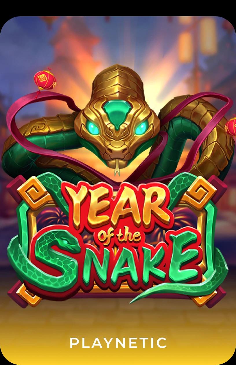 Year of The Snake